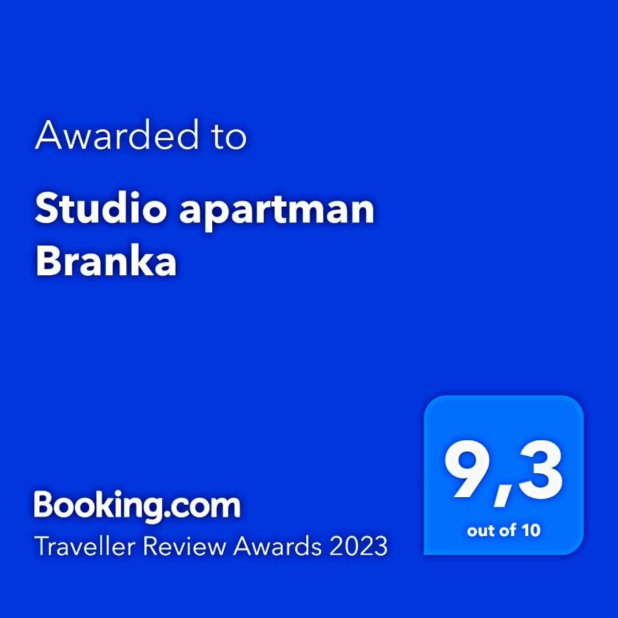 Studio Apartman Branka Лабин Экстерьер фото