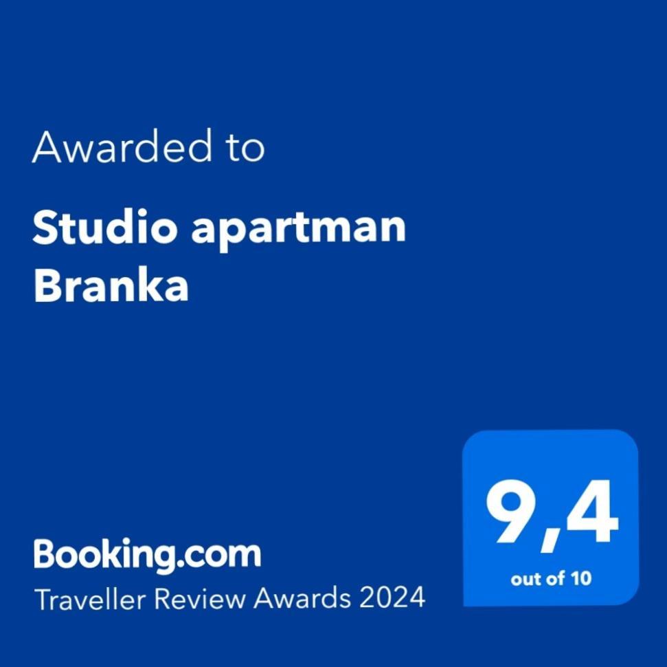 Studio Apartman Branka Лабин Экстерьер фото